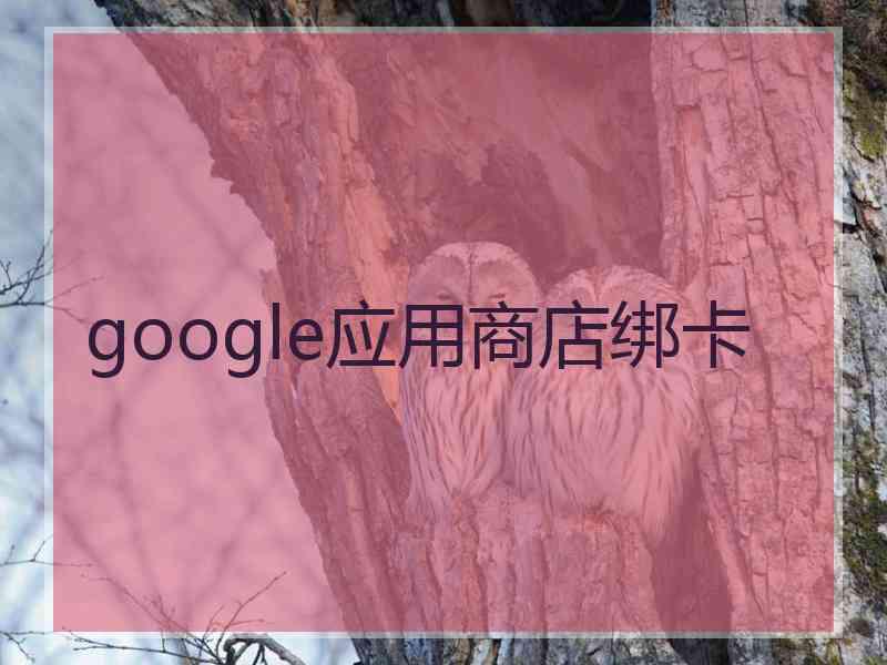google应用商店绑卡