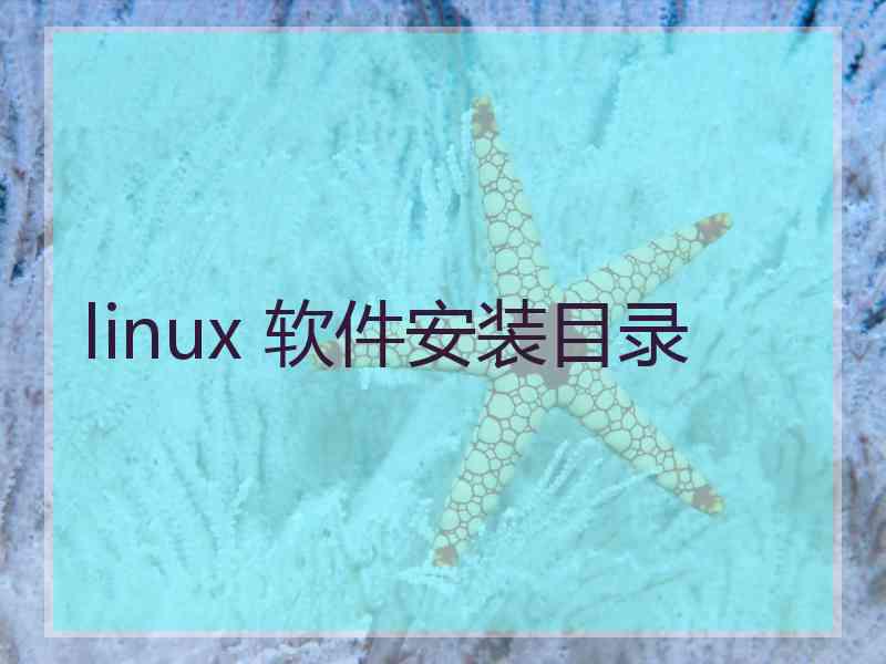 linux 软件安装目录