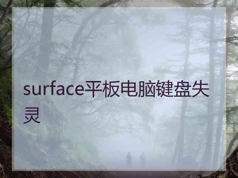 surface平板电脑键盘失灵