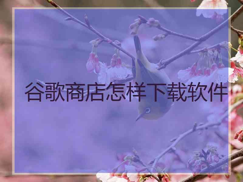 谷歌商店怎样下载软件