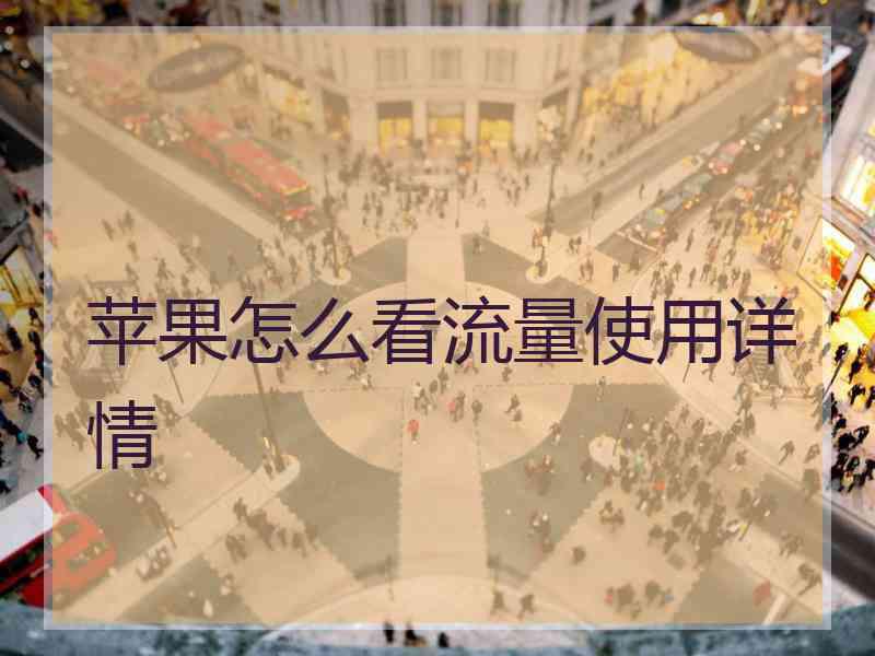 苹果怎么看流量使用详情