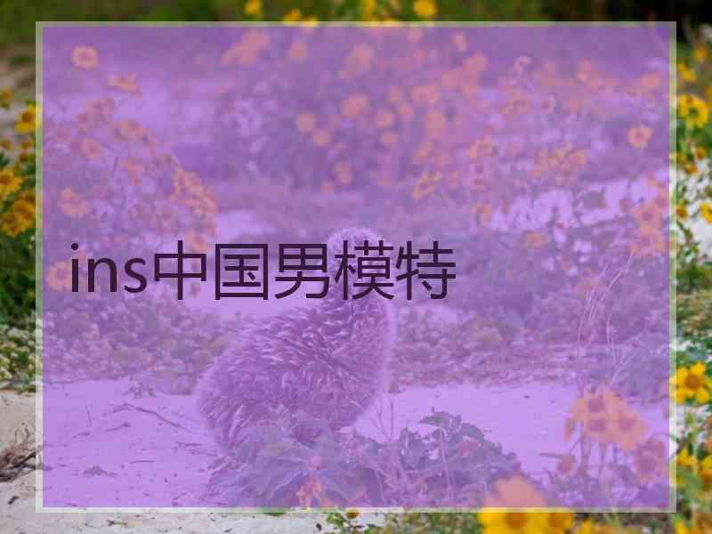 ins中国男模特