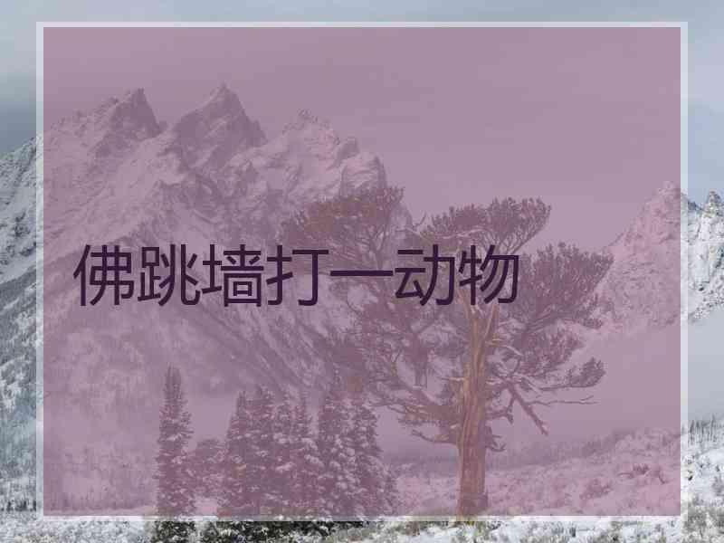 佛跳墙打一动物