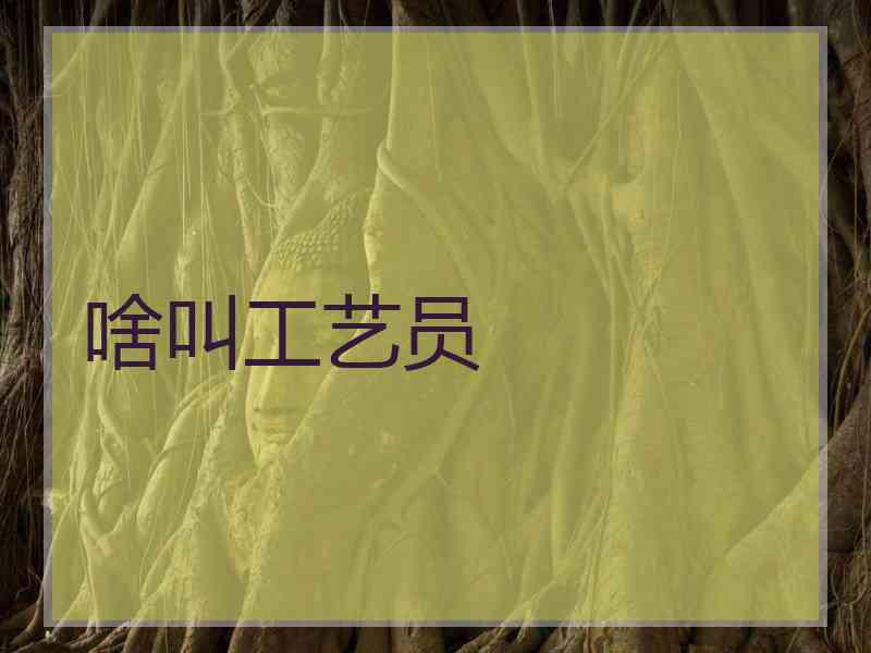 啥叫工艺员