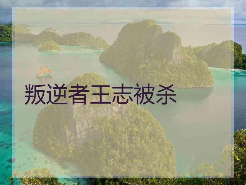 叛逆者王志被杀