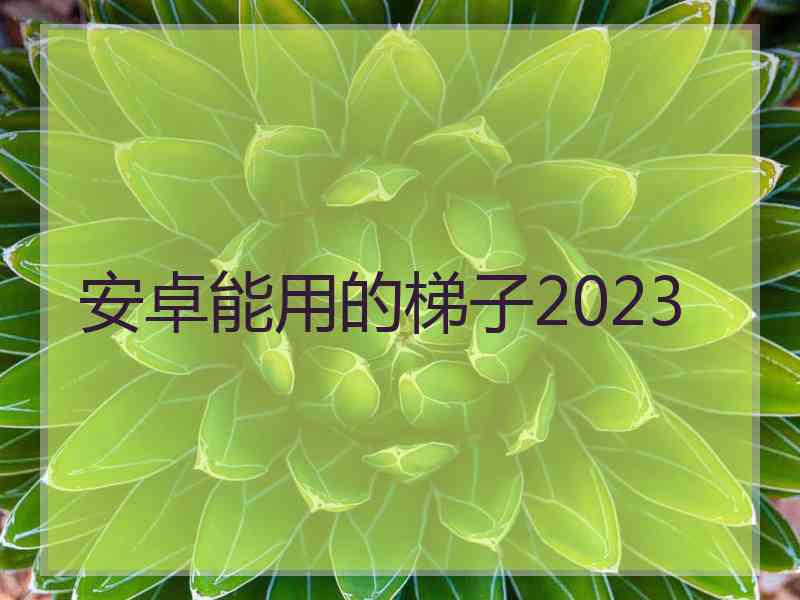 安卓能用的梯子2023