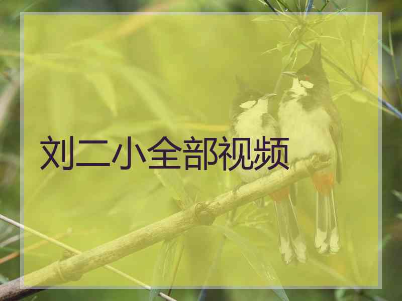 刘二小全部视频