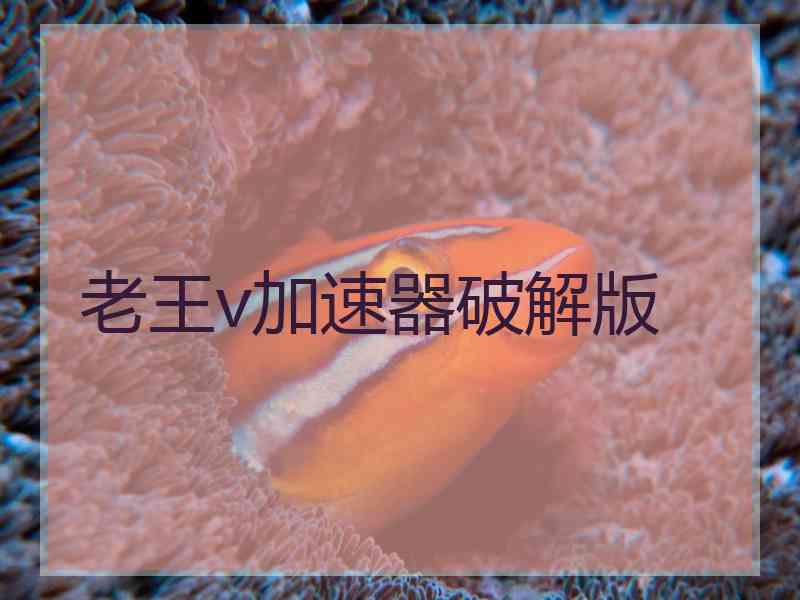 老王v加速器破解版