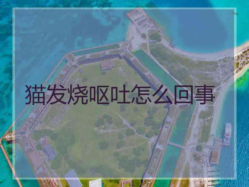 猫发烧呕吐怎么回事