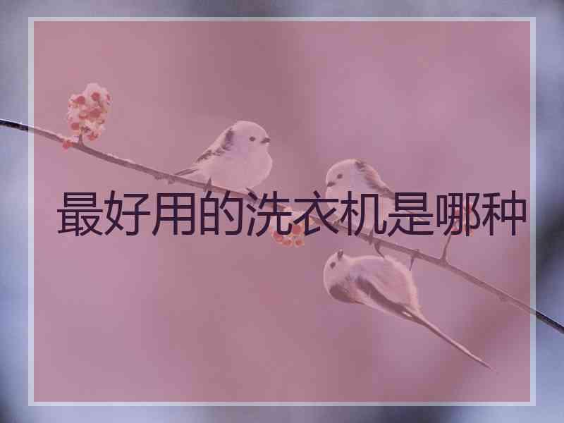 最好用的洗衣机是哪种