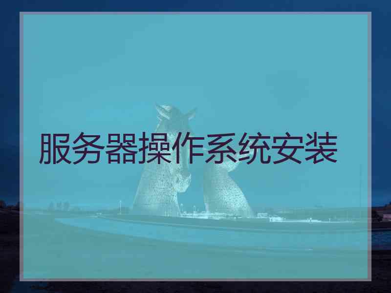 服务器操作系统安装