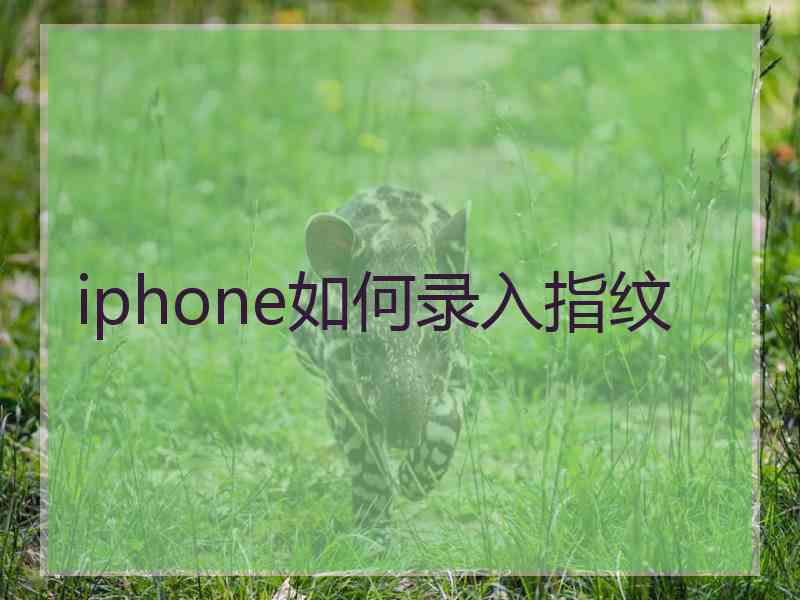 iphone如何录入指纹