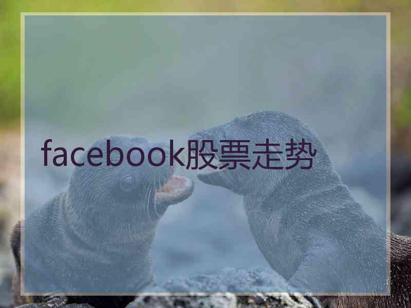 facebook股票走势