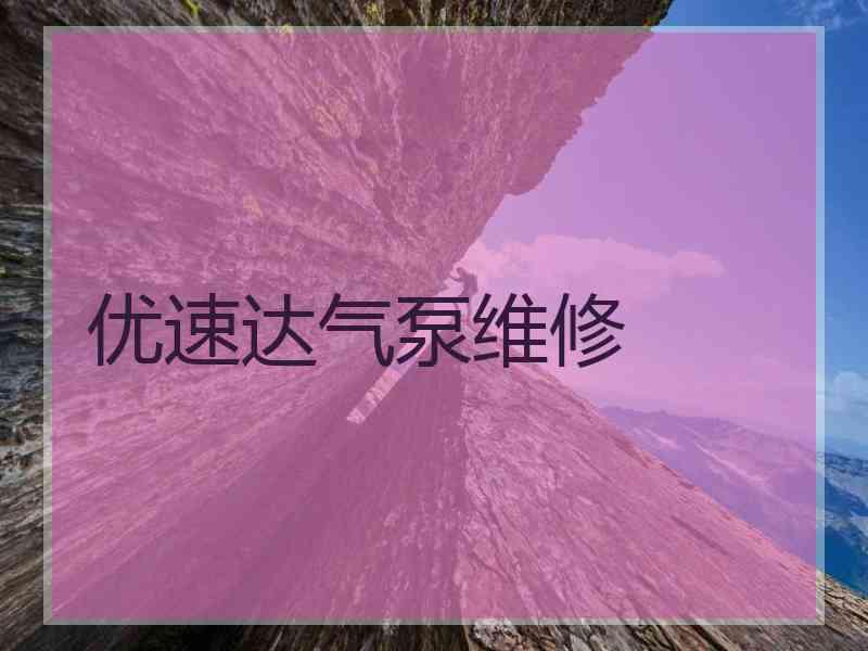 优速达气泵维修
