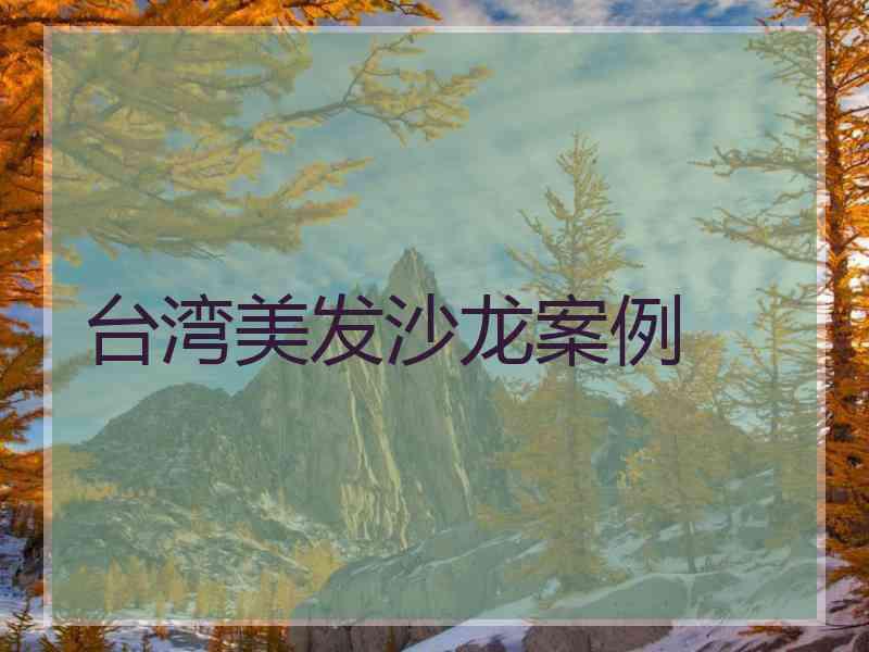 台湾美发沙龙案例