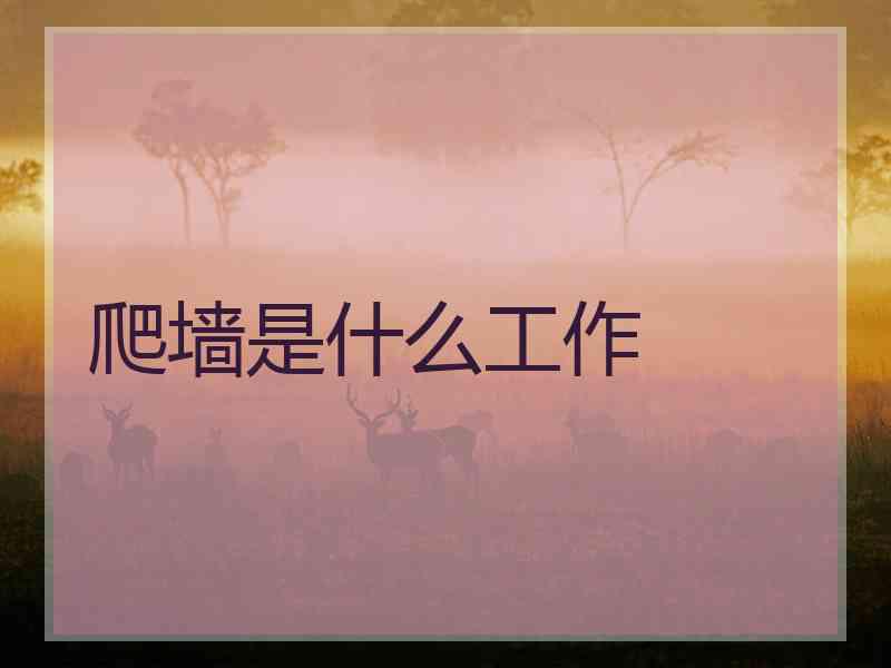 爬墙是什么工作