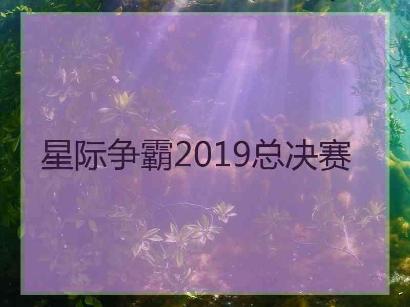 星际争霸2019总决赛