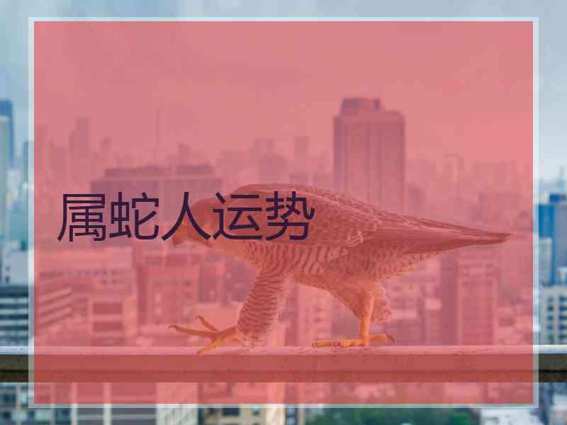 属蛇人运势