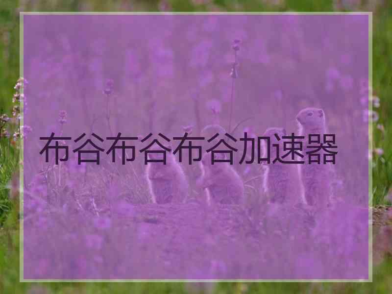 布谷布谷布谷加速器