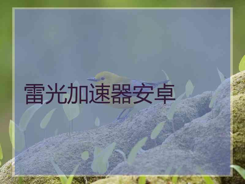 雷光加速器安卓