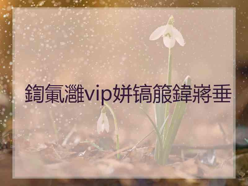 鍧氭灉vip姘镐箙鍏嶈垂