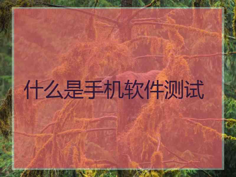 什么是手机软件测试