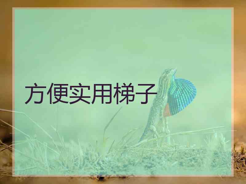 方便实用梯子