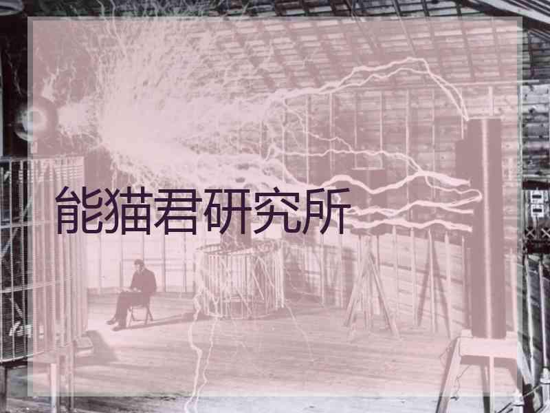 能猫君研究所