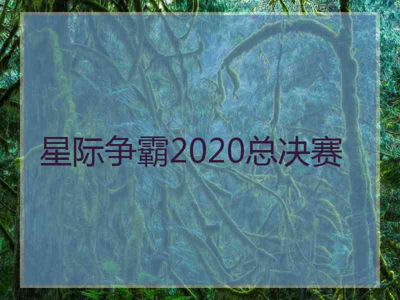 星际争霸2020总决赛