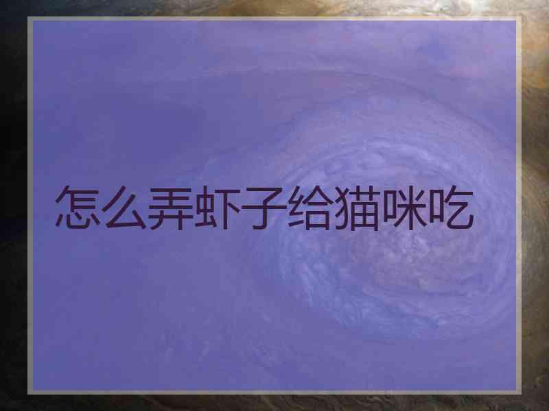 怎么弄虾子给猫咪吃