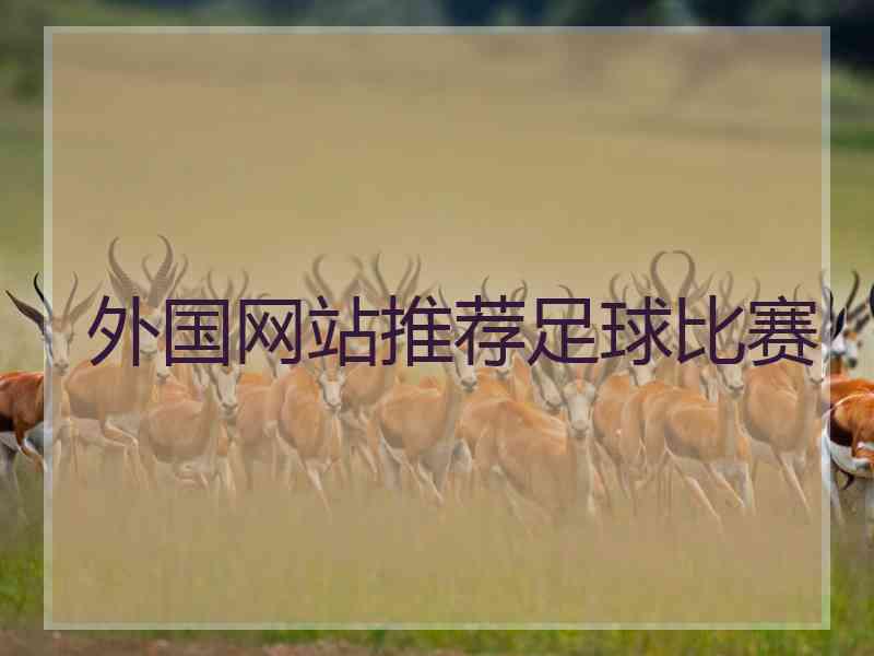 外国网站推荐足球比赛