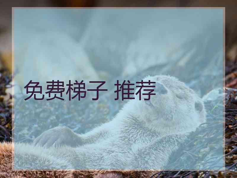 免费梯子 推荐