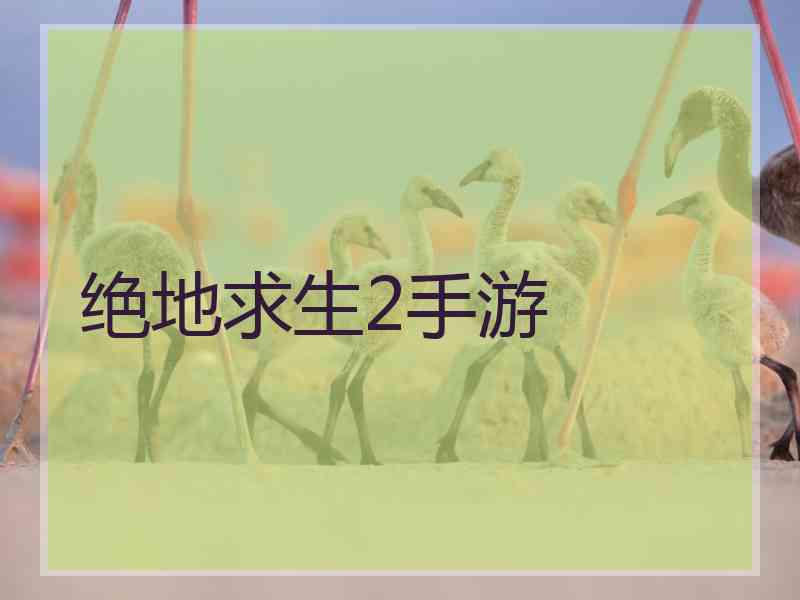 绝地求生2手游