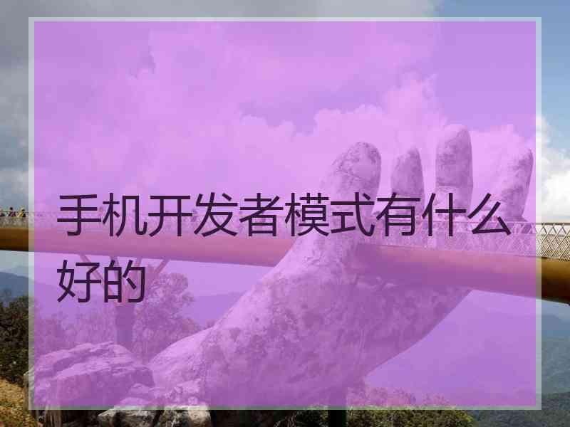 手机开发者模式有什么好的