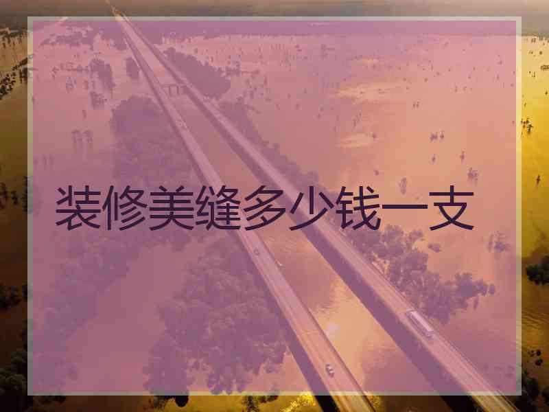 装修美缝多少钱一支