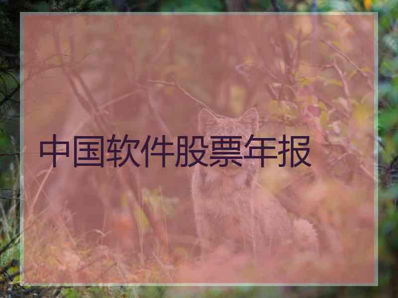 中国软件股票年报