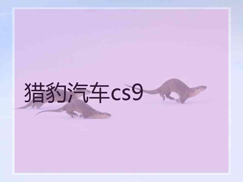 猎豹汽车cs9