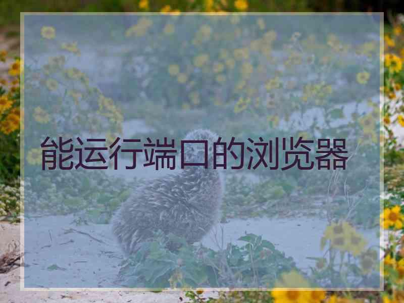 能运行端口的浏览器