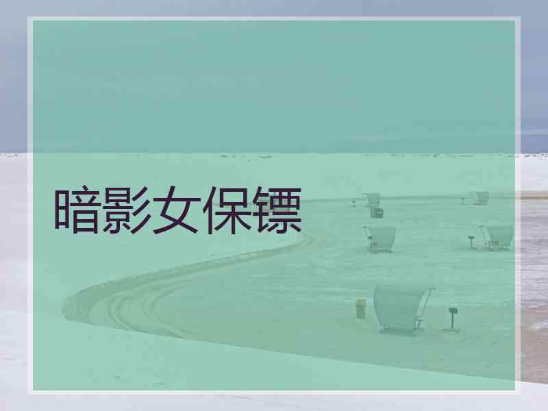 暗影女保镖