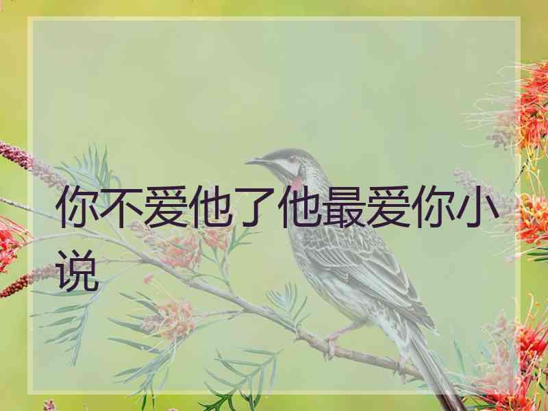 你不爱他了他最爱你小说
