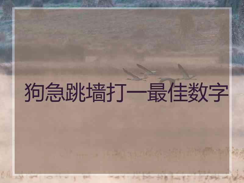 狗急跳墙打一最佳数字