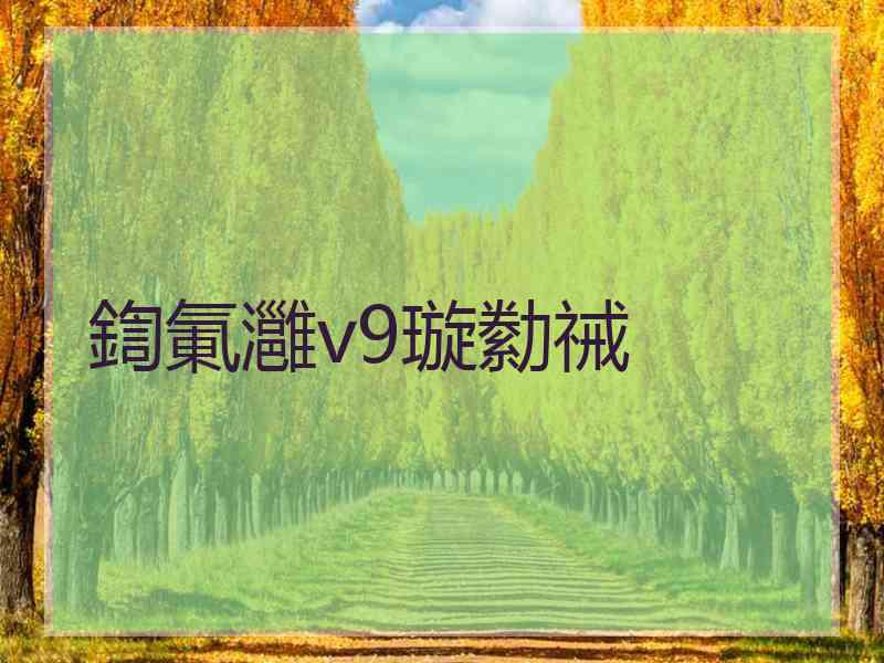 鍧氭灉v9璇勬祴