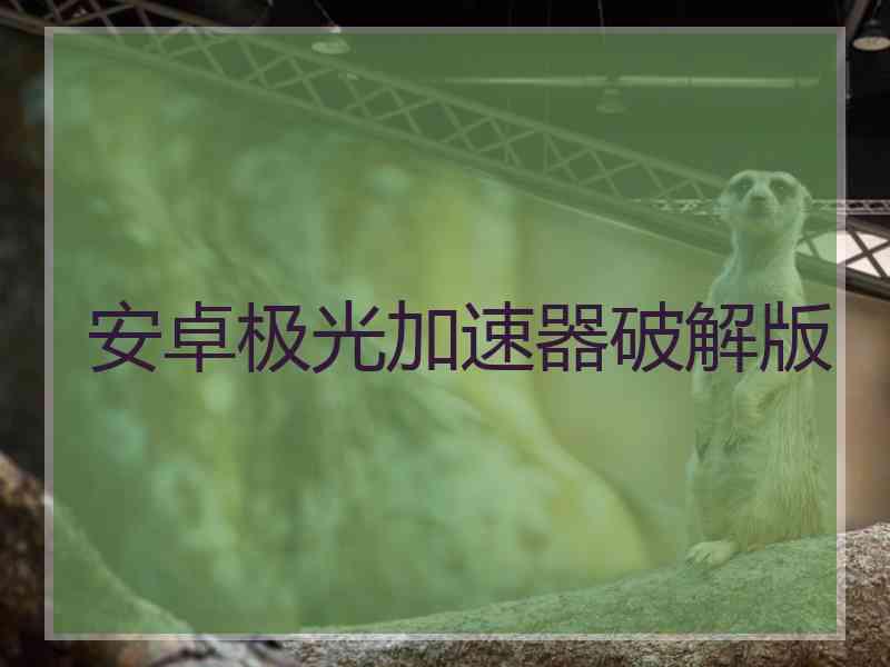 安卓极光加速器破解版