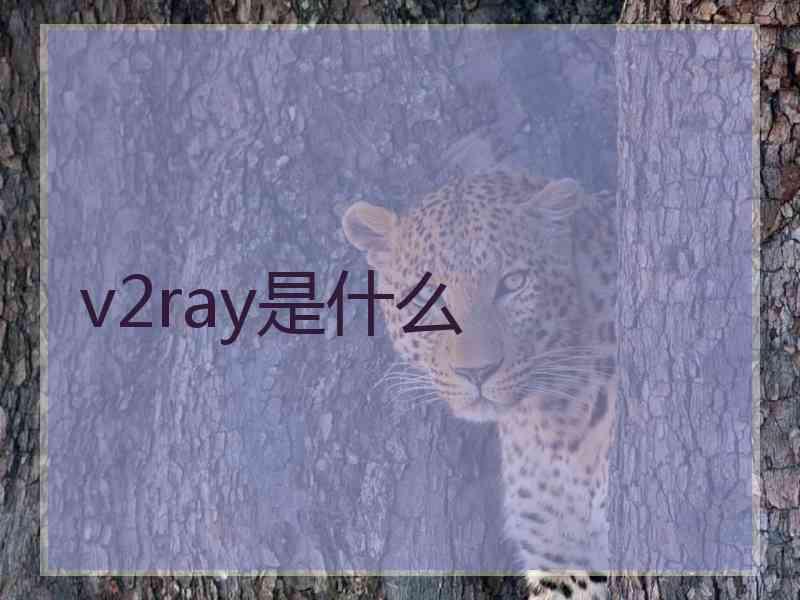 v2ray是什么