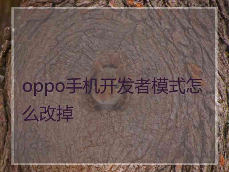 oppo手机开发者模式怎么改掉