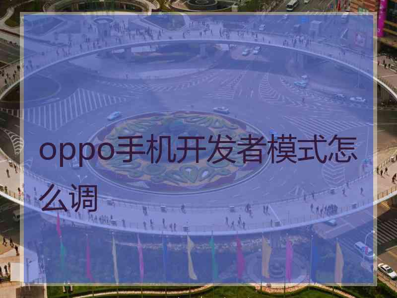 oppo手机开发者模式怎么调