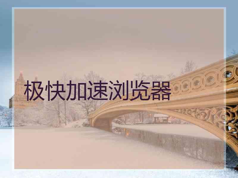 极快加速浏览器