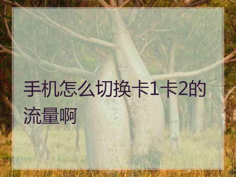 手机怎么切换卡1卡2的流量啊
