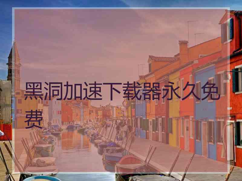 黑洞加速下载器永久免费