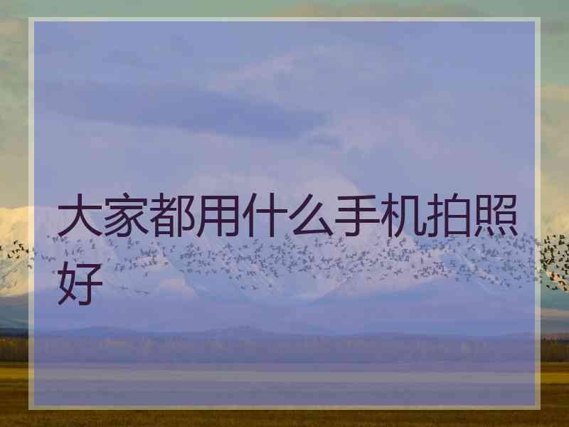 大家都用什么手机拍照好